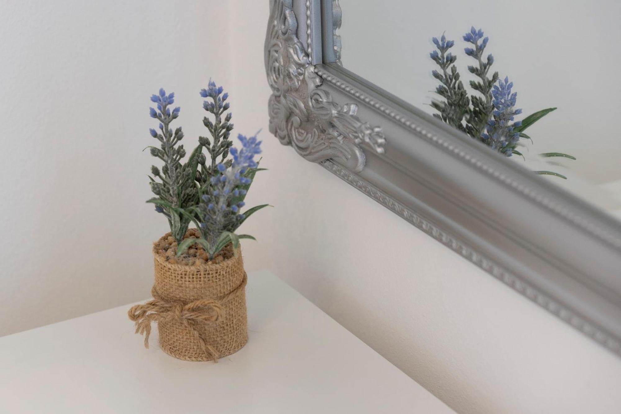 Villa Violic 扎通 外观 照片